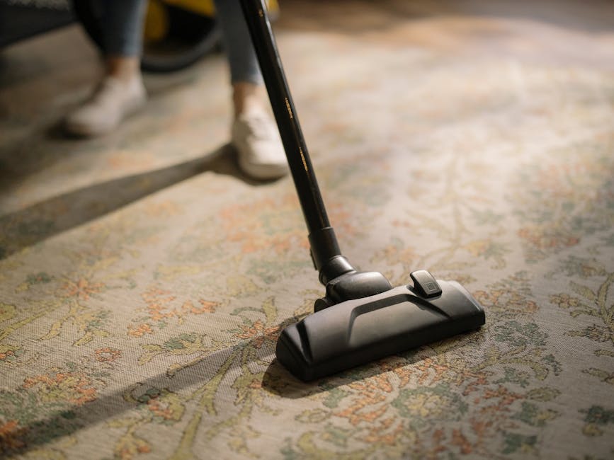 Close up of professional carpet cleaning process
