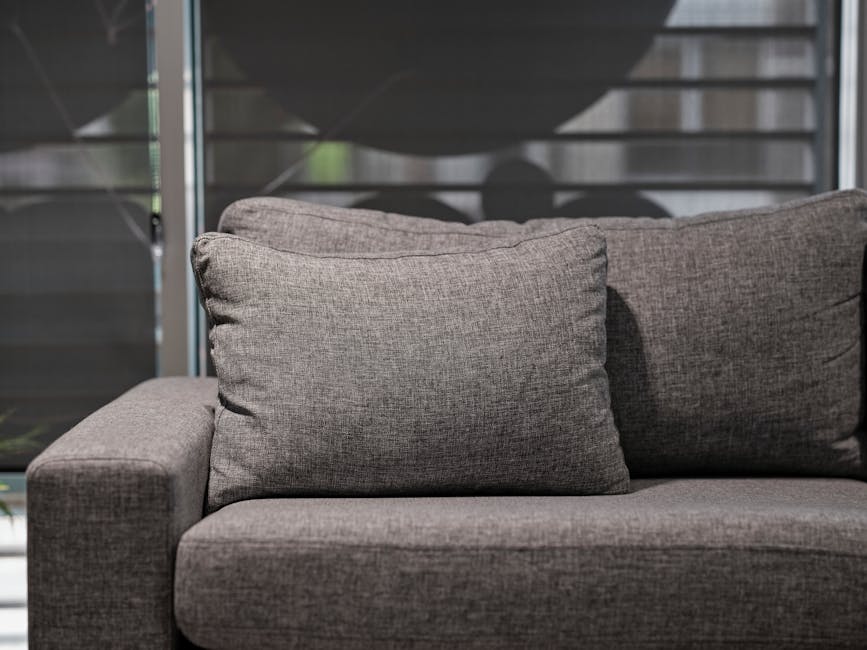Technician performing upholstery cleaning on a sofa